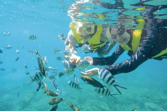 Long Beach Garden كامبونغ كوالا بيسوت المظهر الخارجي الصورة