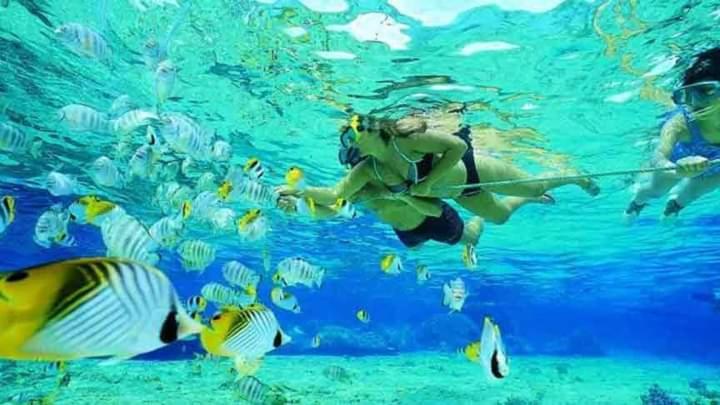 Long Beach Garden كامبونغ كوالا بيسوت المظهر الخارجي الصورة